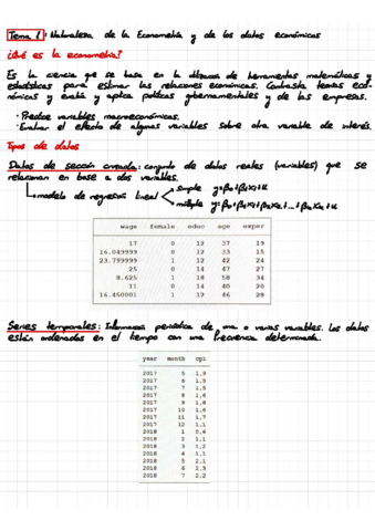 Apuntes-econometria.pdf