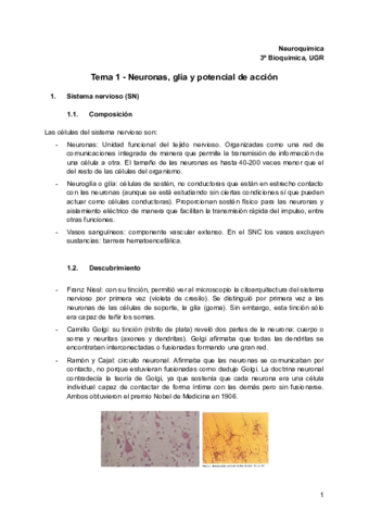 Neuro-Tema-1.pdf