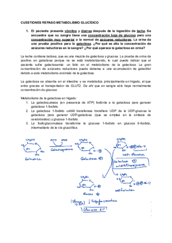Cuestiones-metabolismo-glucidico.pdf