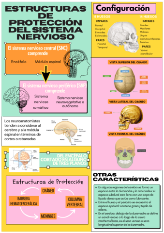 INFOGRAFIA-.pdf