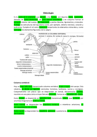 ANATOMIA-I-Generalidades-de-osteologia.pdf