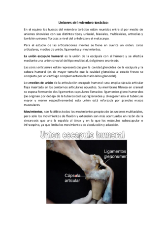 ANATOMIA-I-Uniones-del-miembro-toracico.pdf