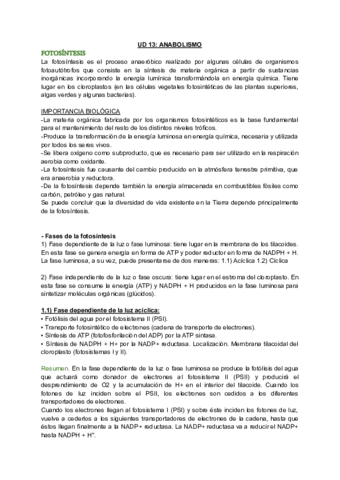 UD-13-ANABOLISMO-2.pdf