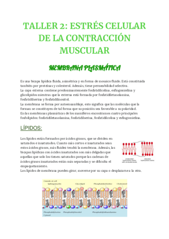 cb-TALLER-2-2311.pdf