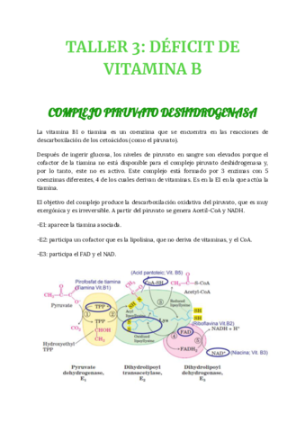 db-TALLER-3-3011.pdf