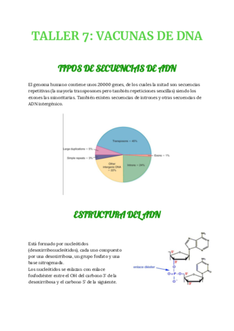 hb-TALLER-7-111-y-1311.pdf
