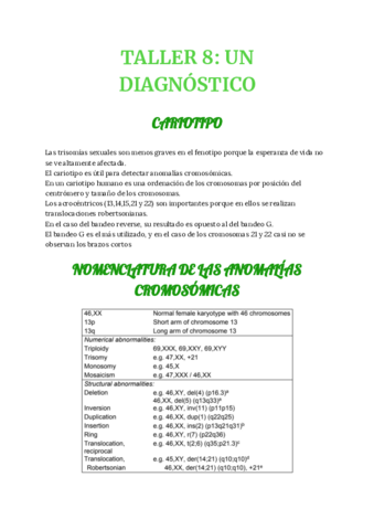 ib-TALLER-8-1811.pdf