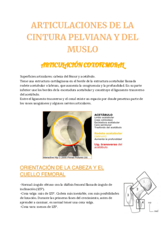 ga-MUSCULOS-Y-ARTICULACIONES-DE-LA-CINTURA-PELVIANA-DEL-MUSLO-DE-LA-PIERNA-Y-DEL-PIE.pdf