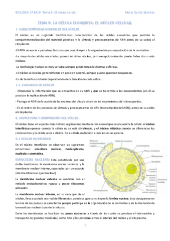 TEMA-9.pdf
