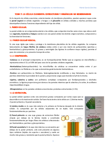 TEMA-7-biologia-Estructuras-y-organulos-no-membranosos.pdf
