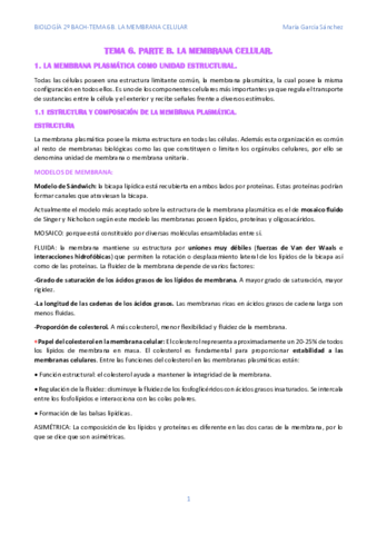 TEMA-6.pdf