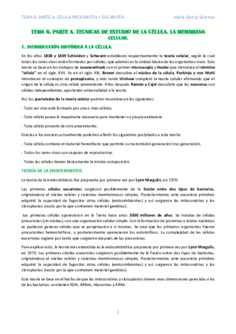 TEMA-6.pdf