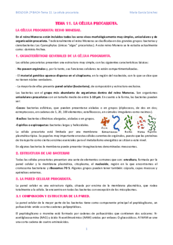 Tema-11-biologia-2o-bach.pdf