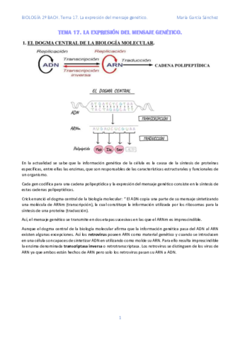 TEMA-17.pdf