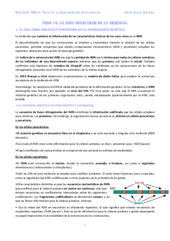 TEMA-16.pdf