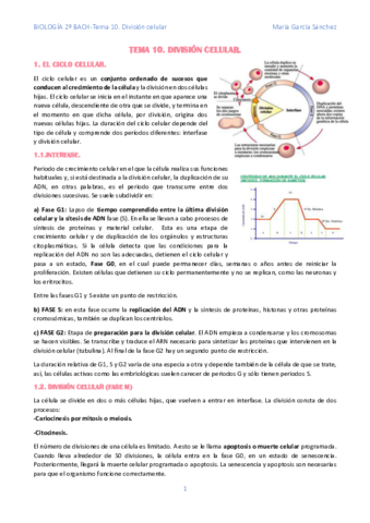 TEMA-10.pdf