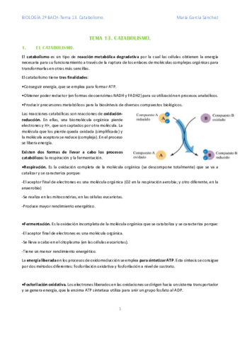 TEMA-13.pdf