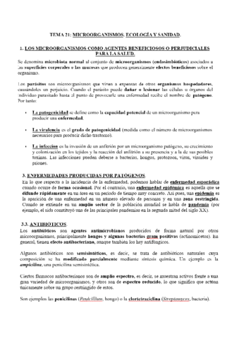 Tema-21.pdf
