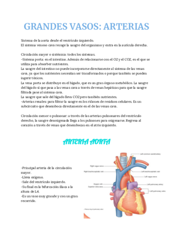 ca-GRANDES-VASOS.pdf