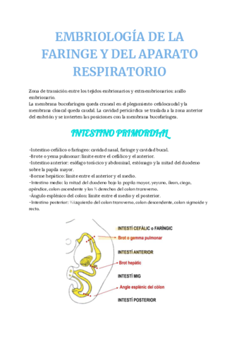ca-EMBRIOLOGIA-DE-LA-FARINGE-APARATO-RESPIRATORIO1.pdf