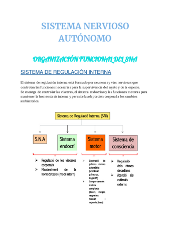 ba-SISTEMA-NERVIOSO-AUTONOMO2.pdf