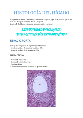 da-HISTOLOGIA-DEL-HIGADO-Y-DE-LA-VESICULA-BILIAR1.pdf