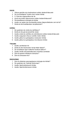 Galdera-garrantzitsu-eta-posible-batzuk.pdf