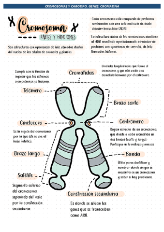 BLOQUE-3-biologia.pdf