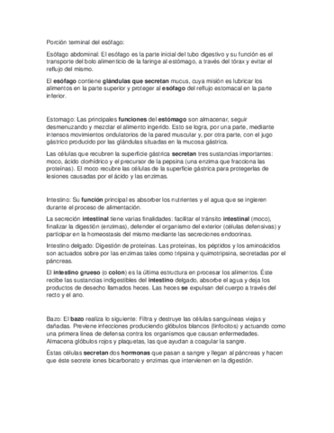VISCERAS-Y-RINON-AMBAS.pdf
