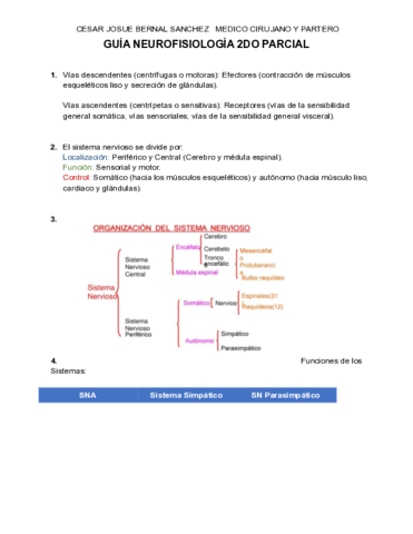 GUIA-DE-NEUROFISIOLOGIA-2-PARCIAL.pdf