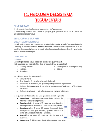 FISIOLOGIA-II-2n-SEMESTRE.pdf