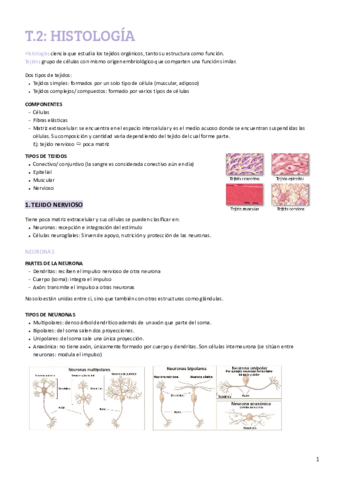 T2 HISTOLOGÍA.pdf