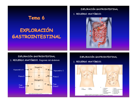 ABDOMINAL.pdf