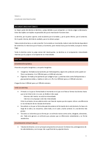 Operatoria-Dental-XXX.pdf