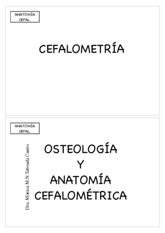 anatomia-cefalometrica.pdf