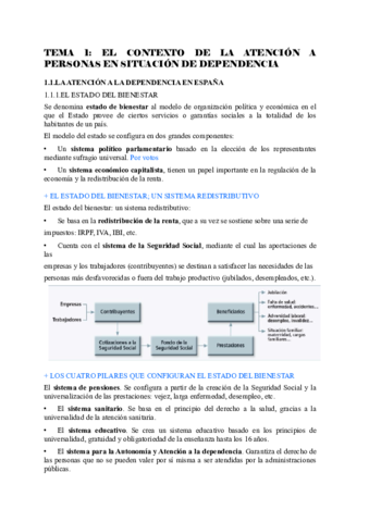 TEMA-1-OAP.pdf