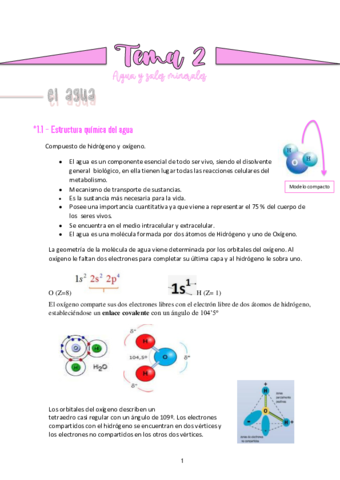 TEMA-2-AGUA-Y-SALES-MINERALES.pdf