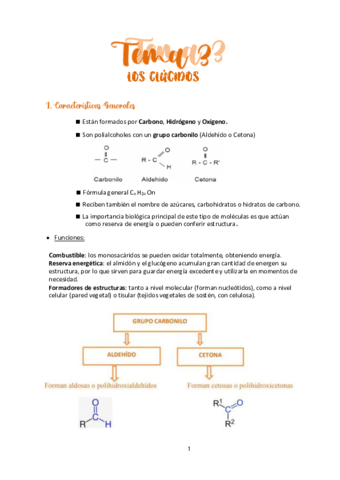TEMA-3-LOS-GLUCIDOS.pdf