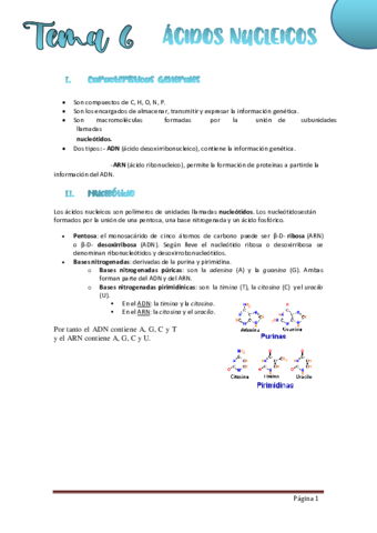 TEMA-6-ACIDOS-NUCLEICOS.pdf