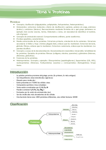 Tema-4-Proteinas.pdf