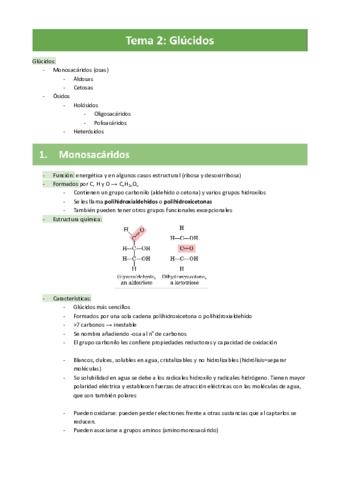 Tema-2-Glucidos.pdf