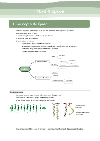 Tema-3-Lipidos.pdf