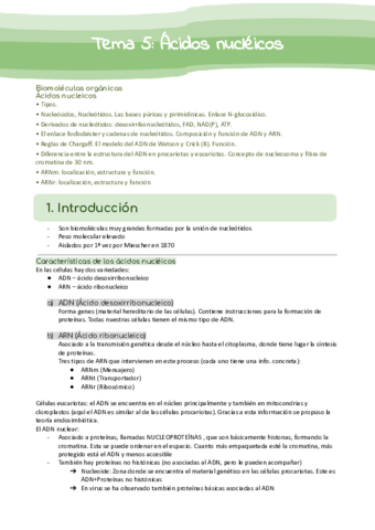 Tema-5-Acidos-nucleicos.pdf