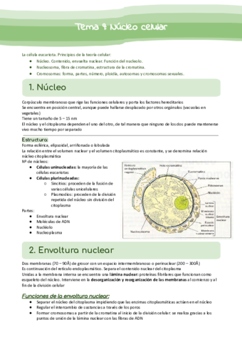 Tema-9-Nucleo-celular.pdf