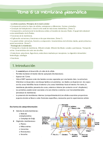 Tema-6-La-membrana-celular.pdf