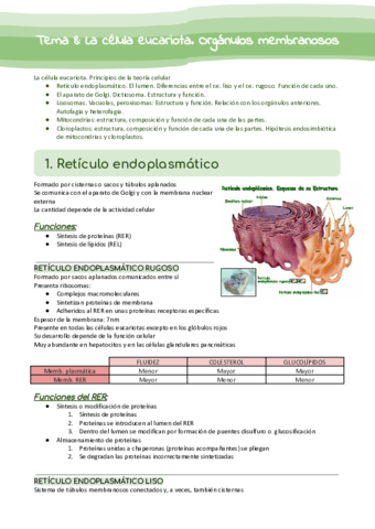 Tema-8-La-celula-eucariota.pdf