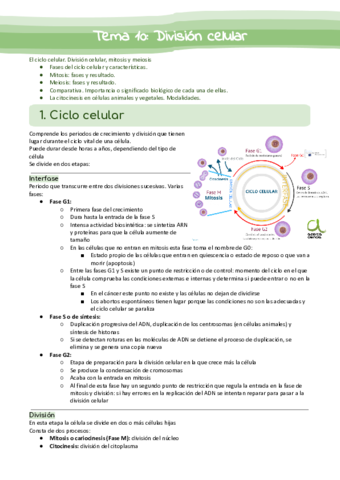 Tema-10-Division-celular.pdf