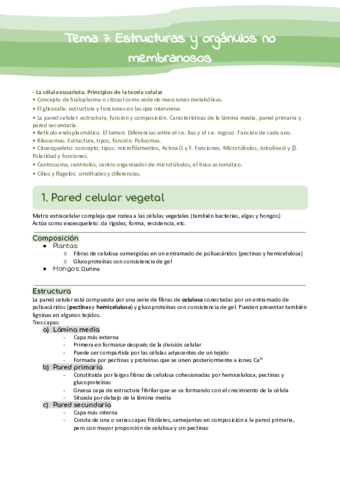 Tema-7-Estructuras-y-organulos-no-membranosos.pdf