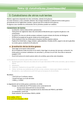 Tema-13-Catabolismo-continuacion.pdf