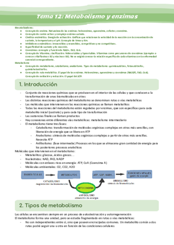 Tema-12-Metabolismo-y-enzimas.pdf